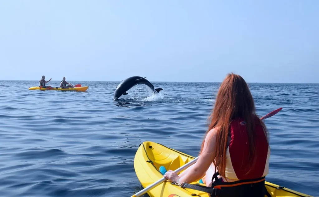 Kayak Lido Dolphins